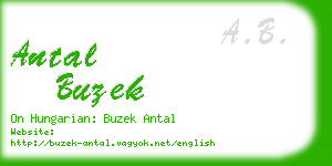 antal buzek business card